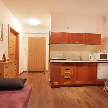 Apartserwis - U Sabaly Centrum Apartman Zakopane