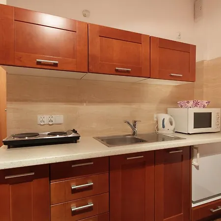 Appartamento Apartserwis - U Sabaly Centrum *